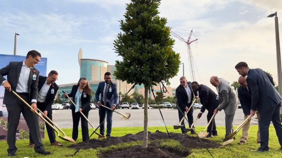 A group of people with shovels planting a tree.