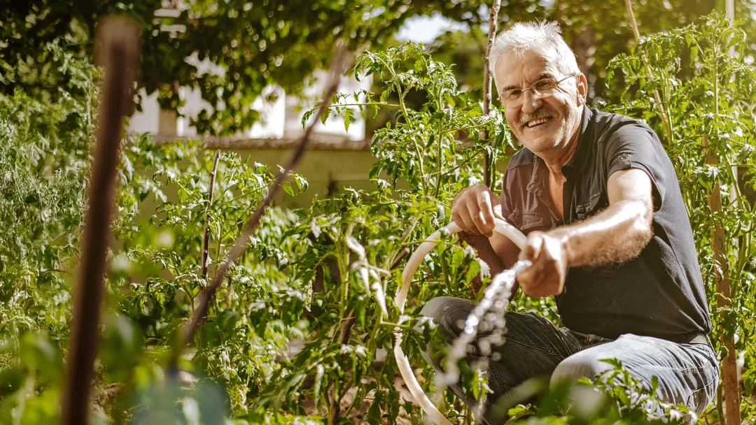 man watering garden