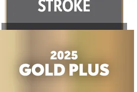 Get With The Guidelines Stroke Avista 2025