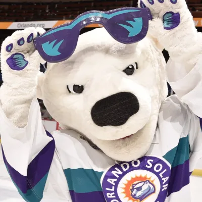 Solar Bear Mascot 