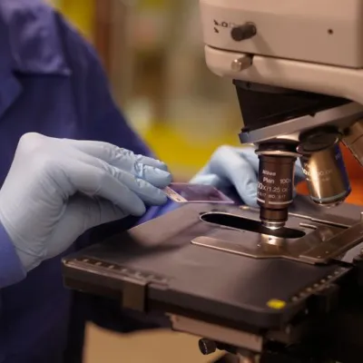 Microscope, research, lab image