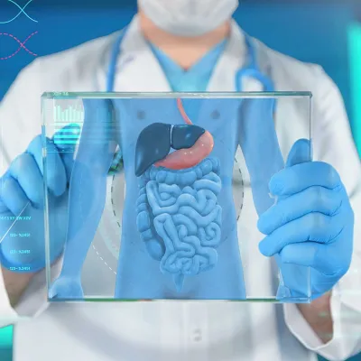 A doctor using an electronic device to view a patient's digestive organs