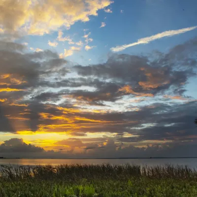 Outdoor image of sky, grass, and trees during sunset.