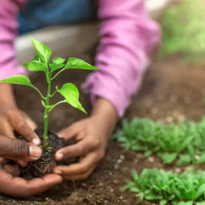 People are hungry for health and nutrition information.