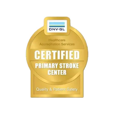 2023-dnv-primary-award