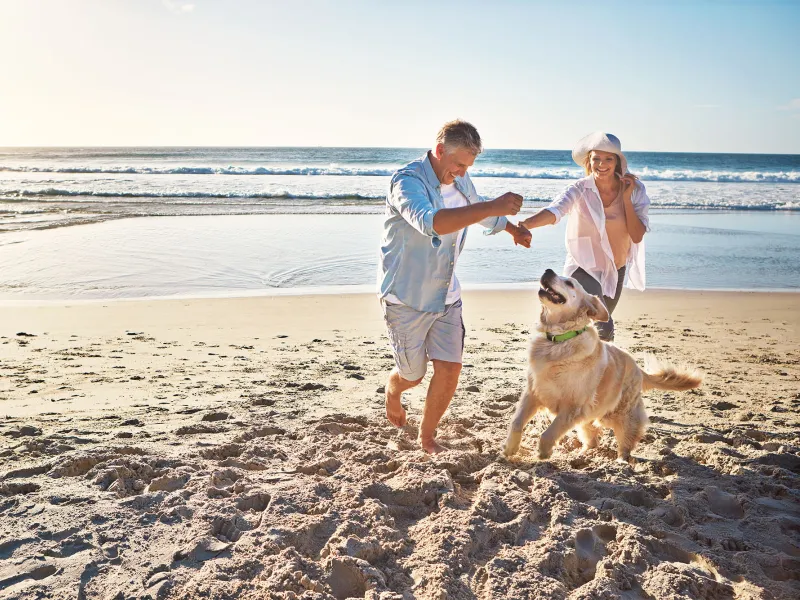 Older couple walking on the beach with their dog.
