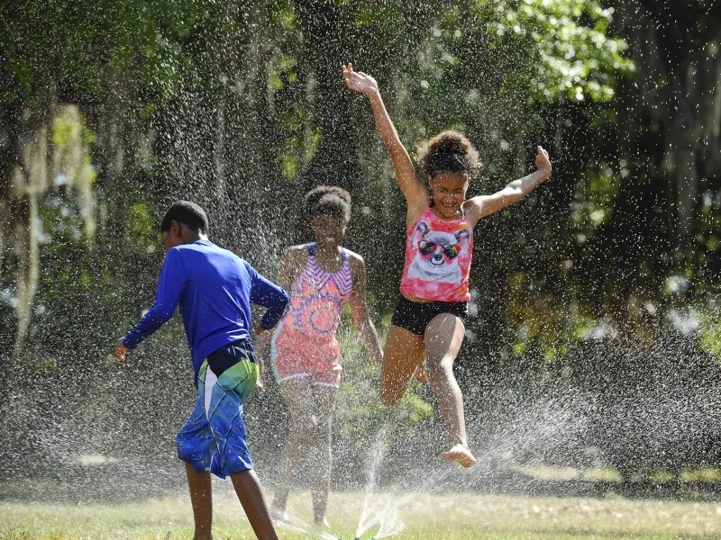 Young African American children run and jump through an outdoor sprinkler.
