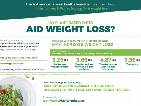 An infographic that discusses if plant-based diets aid weight loss.