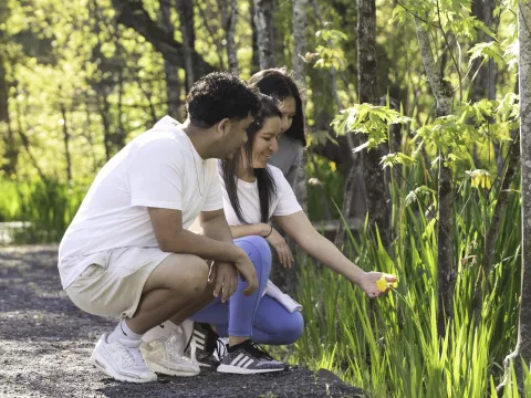 Redmond ECO Greenway_1