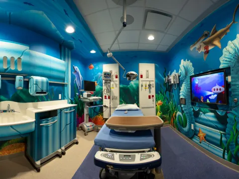 AdventHealth Carrollwood childrens' emergency room