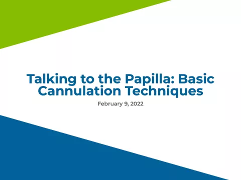 Talking to the Papilla