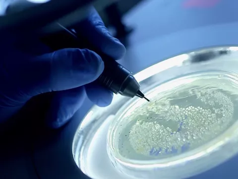 AdventHealth - Stay Well Ahead: Advanced Research