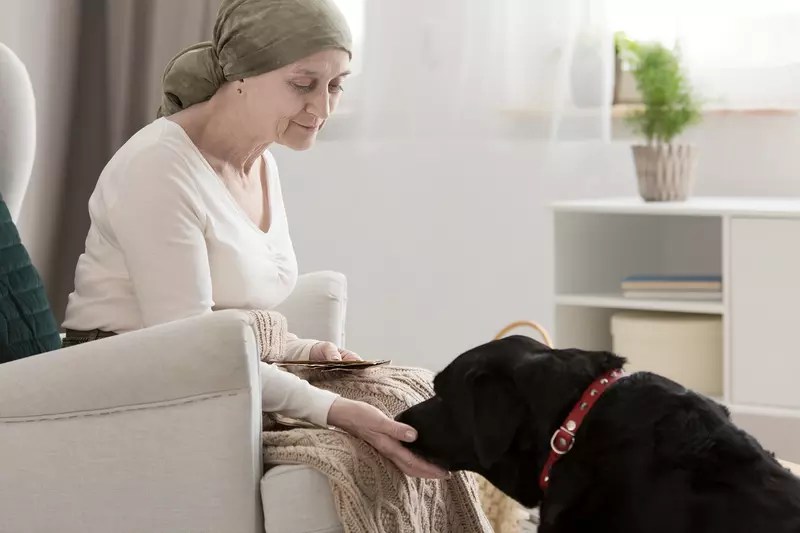 Hospice patient petting a black Labrador Retriever for comfort