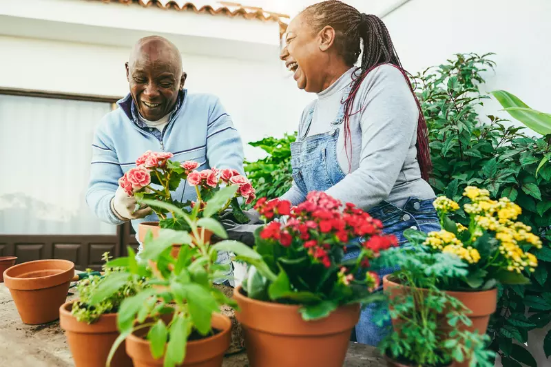 A black couple outside gardening with an assortment of terracotta pots with plants.