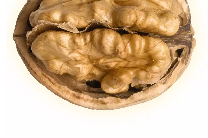 Open walnut.
