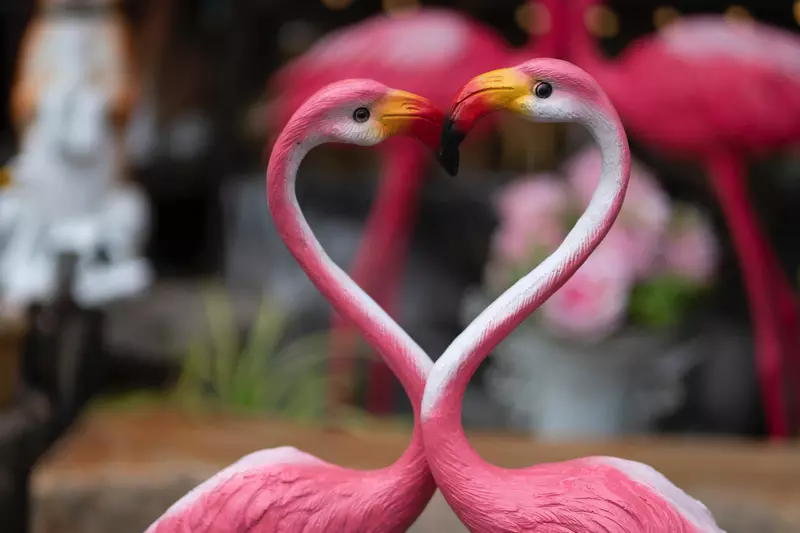 Yard flamingos figurines craning their necks to make a heart.
