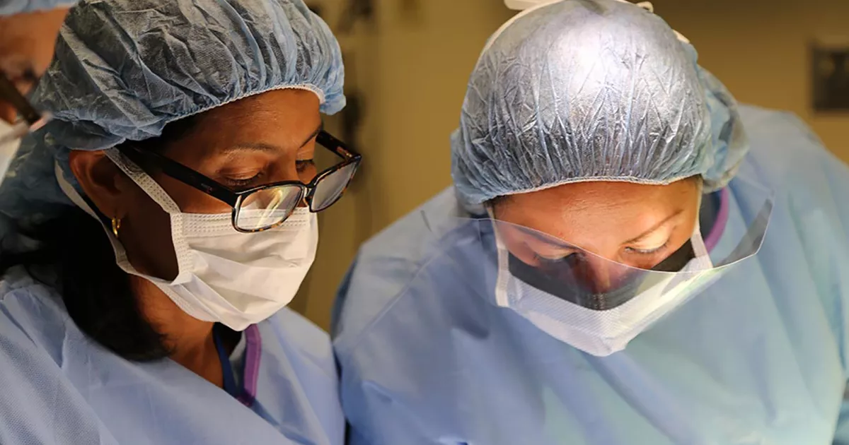 Florida Hospital Zephyrhills Earns Get With The GuidelinesStroke Gold