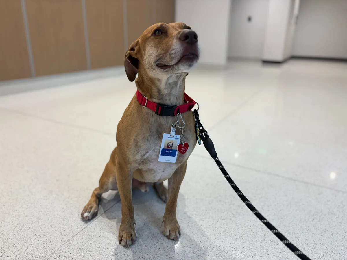 Once lost, Buddy the dog finds meaning at AdventHealth Altamonte Springs 