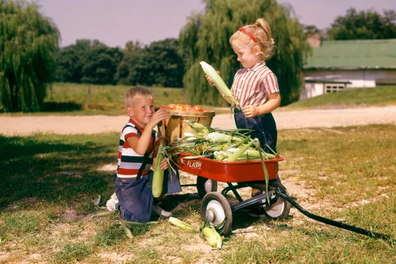 Two happy children with a red wagon full of vegetables. 