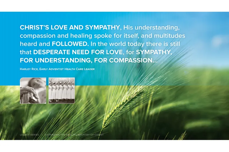 A Wheat Field In Front of Blue Skies